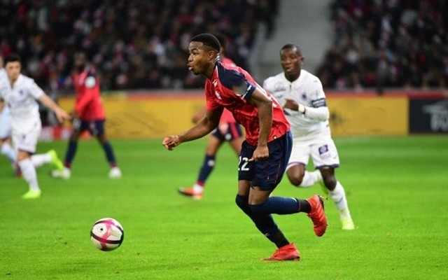 的起起落落 的起起落落