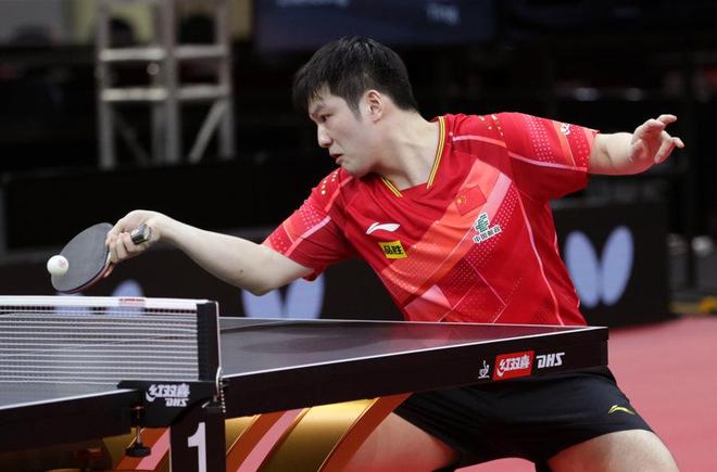 审查程序 审查程序